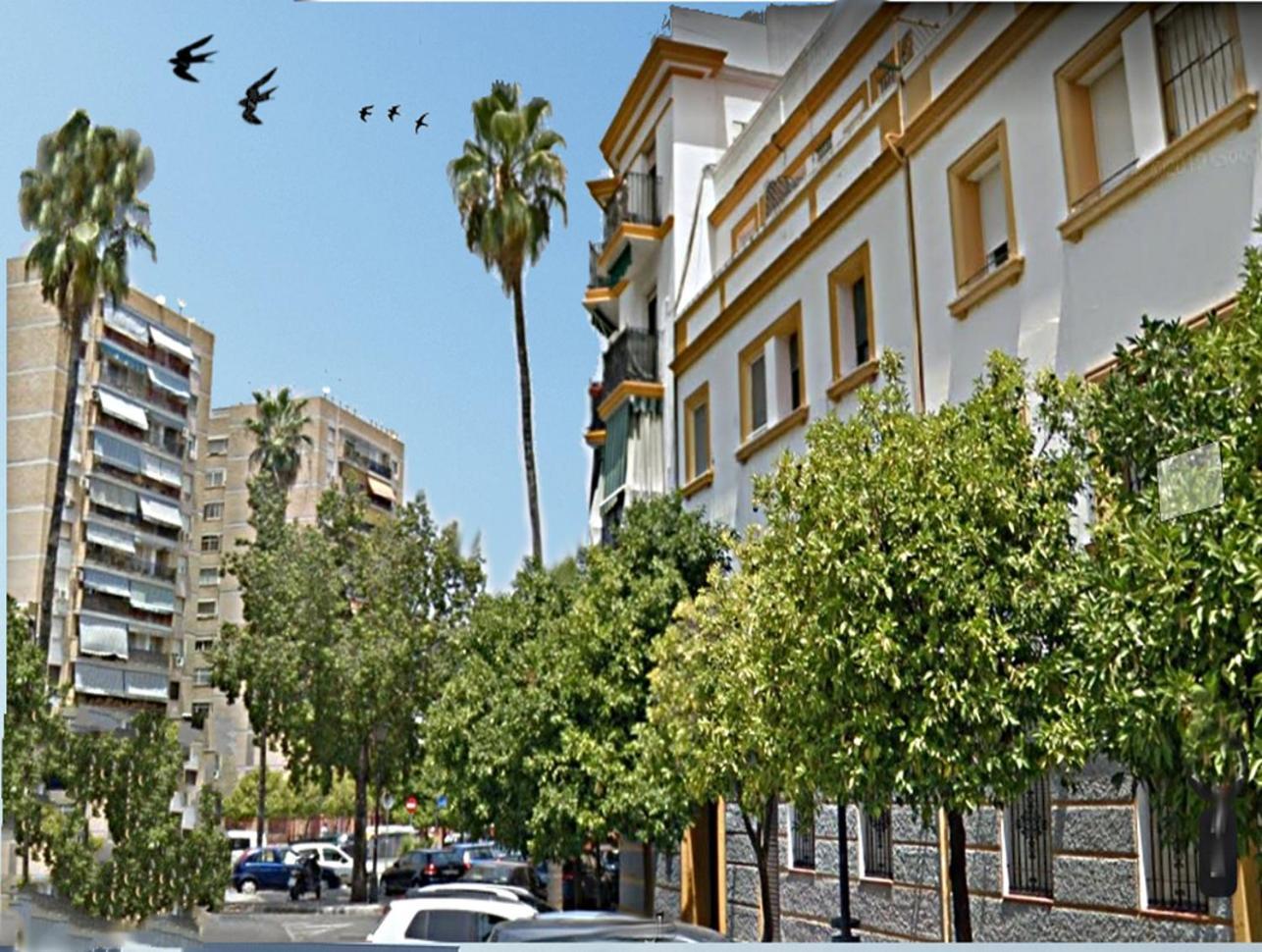 Apartamento San Juan de Dios Sevilla Bagian luar foto